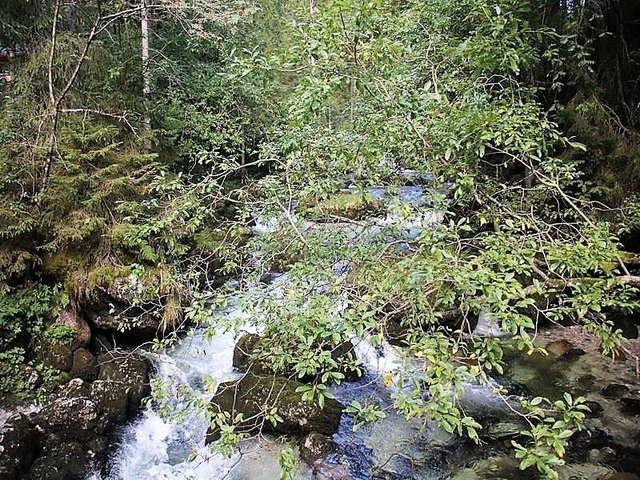 Foto: HKroBild