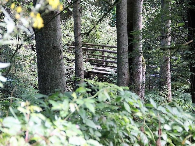 Foto: HKroBild