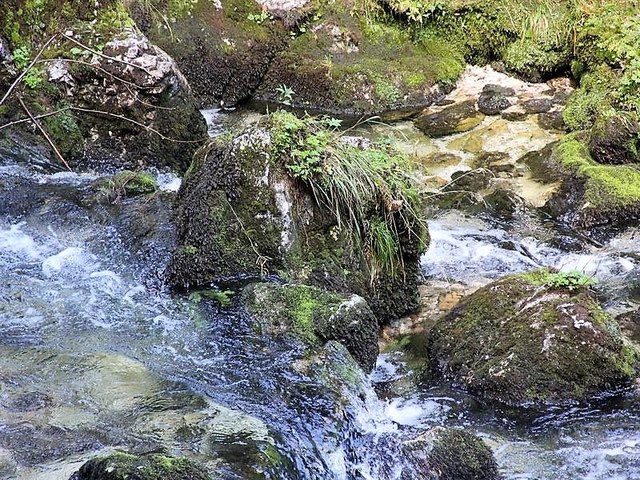 Foto: HKroBild