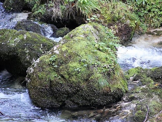 Foto: HKroBild