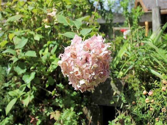 Foto: HKroBild