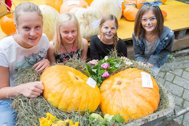 Am 15. September ab 14 Uhr findet im Rahmen es Bauernherbstes das Kürbisfest am Marktplatz statt. | Foto: TVB Wagrain