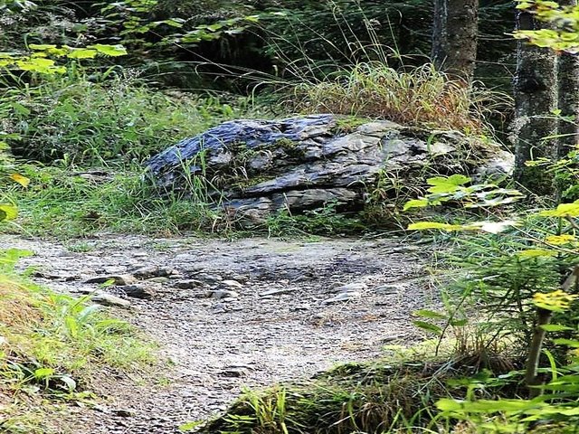 Foto: HKroBild