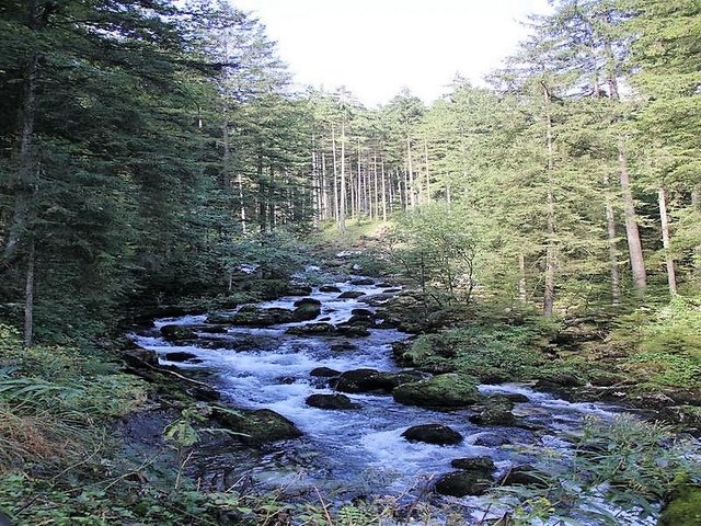 Foto: HKroBild