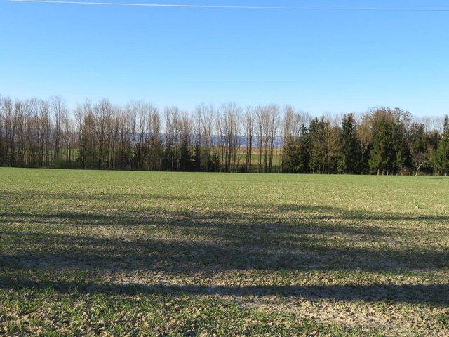 Der Blick wandert in die Ferne und die Seele entspannt!