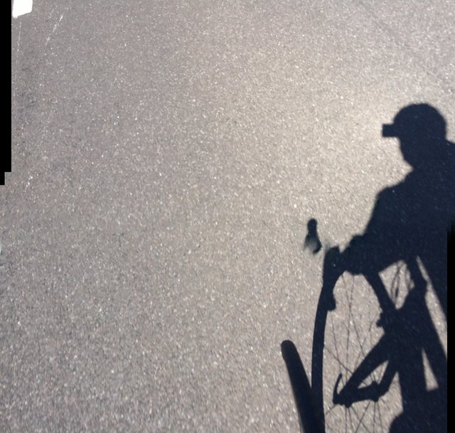 Schneller als sein Schatten