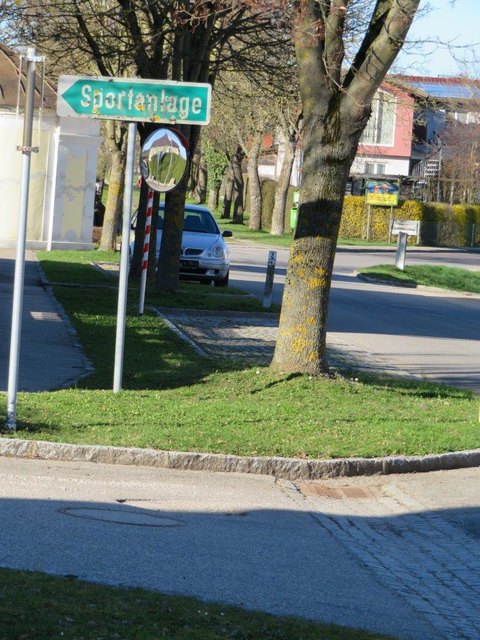 Bewegung ist überall sichtbar am Weg