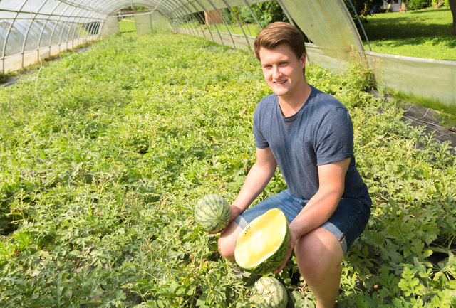 Da schau her: Franz Pölzl jun. mit der Grazer Honigmelone