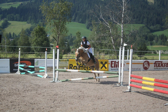 Dressur- und Sprungbewerben für Ponys, Kleinpferde, Haflinger, Noriker und Warmblutpferde werden ausgetragen. | Foto: Dürager
