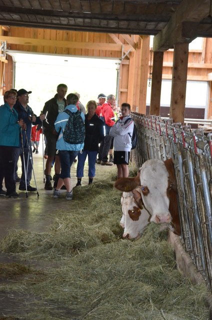 Im Zuge der Hofwanderung öffnen die Bauern die Stalltüren für interessierte Besucher