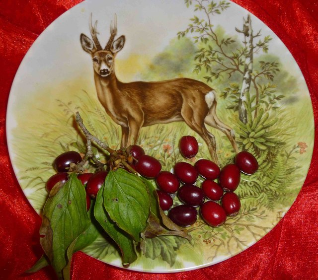 Für`s Dirndlmarmelade