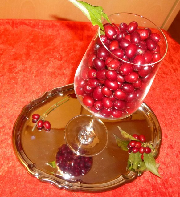 Dirndlglas!