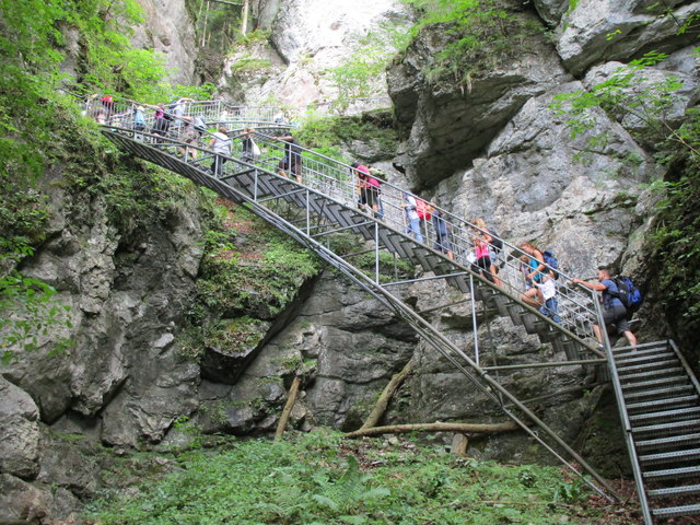 Die Gaminger Kinder begaben sich auf den Weg zur Ötscher-Tropfsteinhöhle. | Foto: privat