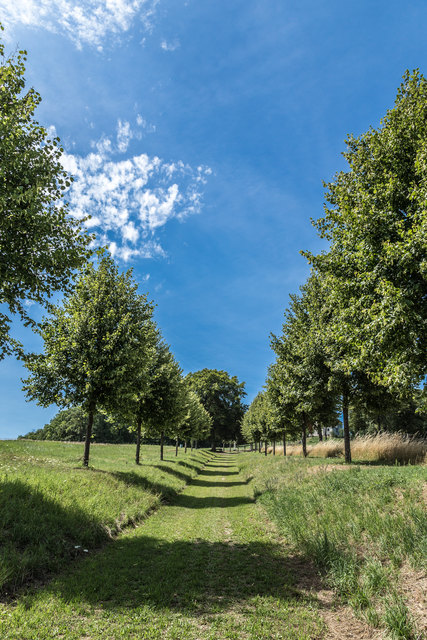 Foto: Jörg Uckermann