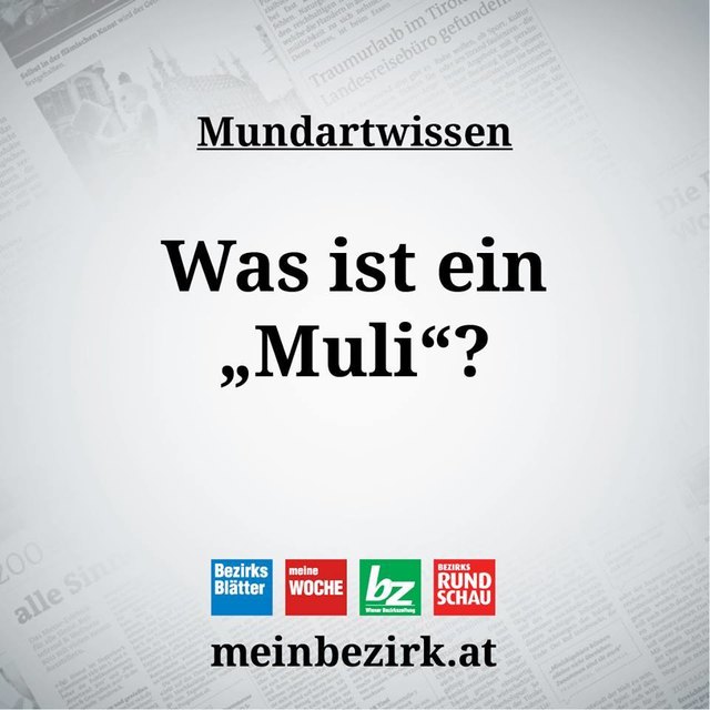 Auch heute haben wir wieder ein spannendes Wort für euch!