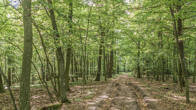 Foto: Jörg Uckermann