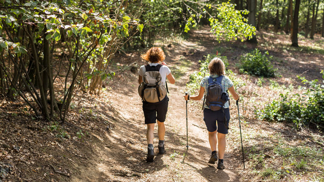 Im Weinviertel gibts ganz schön viel Wald, manchmal war die Tour wie ein Dschungel Trail. | Foto: Jörg Uckermann