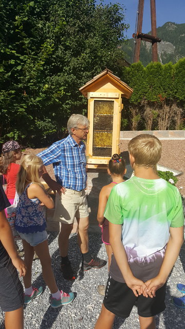 Imker Hans Egger und seine Bienen. | Foto: Karin Thurner