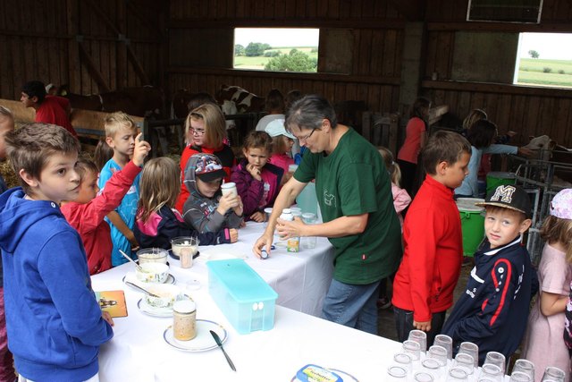 Gemeinde Wolfau Thema auf meinbezirk.at