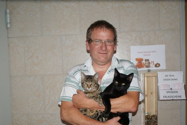 Erwin Schlosser bestätigt: Katzen werden beliebter. Er selbst hat nur noch sechs Tiere in seinem Heim - ein historischer Tiefststand.