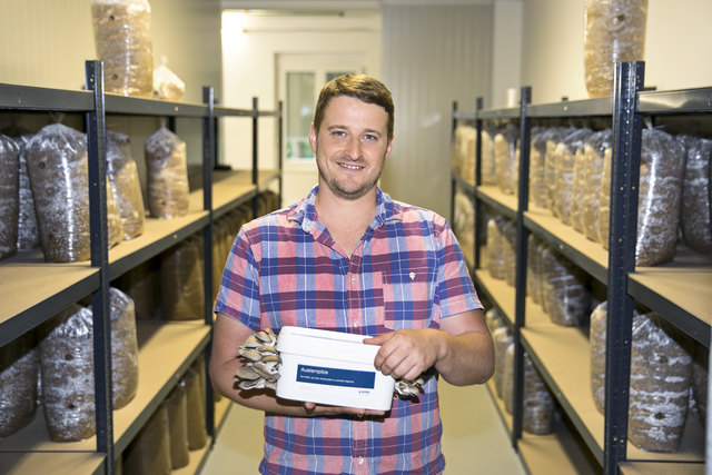Klaus Grübler ist mit seiner "Pilzfactory" ab sofort in St. Andrä-Höch angesiedelt. | Foto: KK