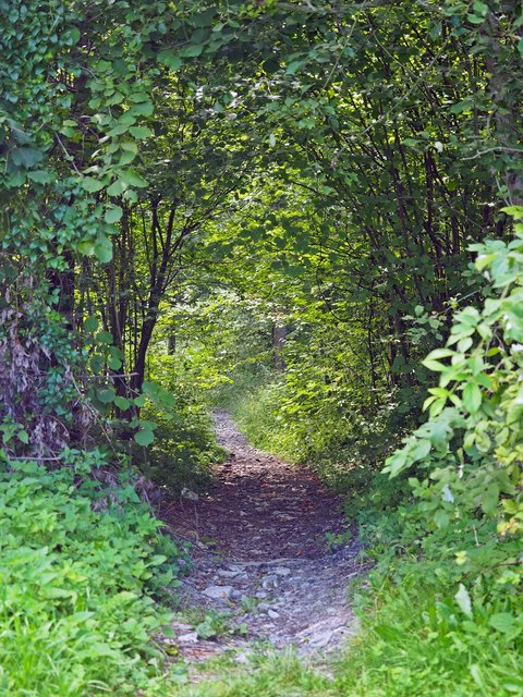 Wanderweg auf die Burg.