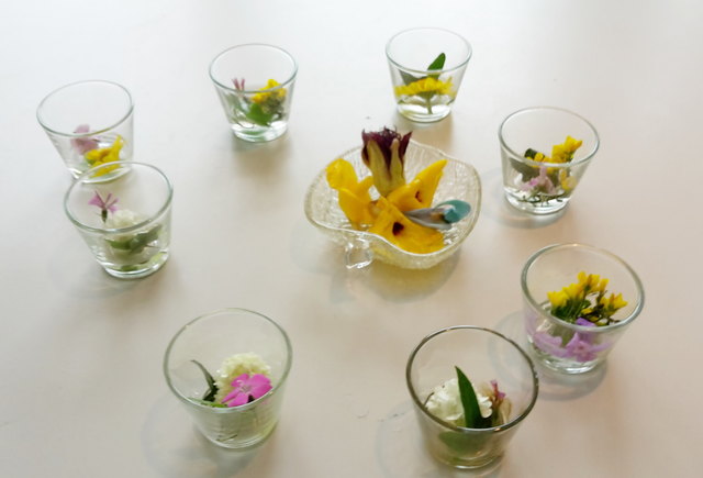 Das alles kann man zu Tee machen