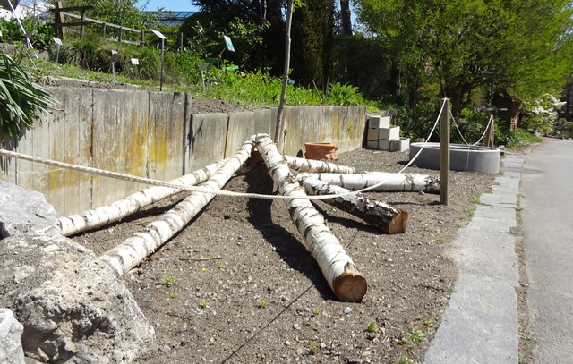 Vorarbeit für den Teegarten im Frühjahr