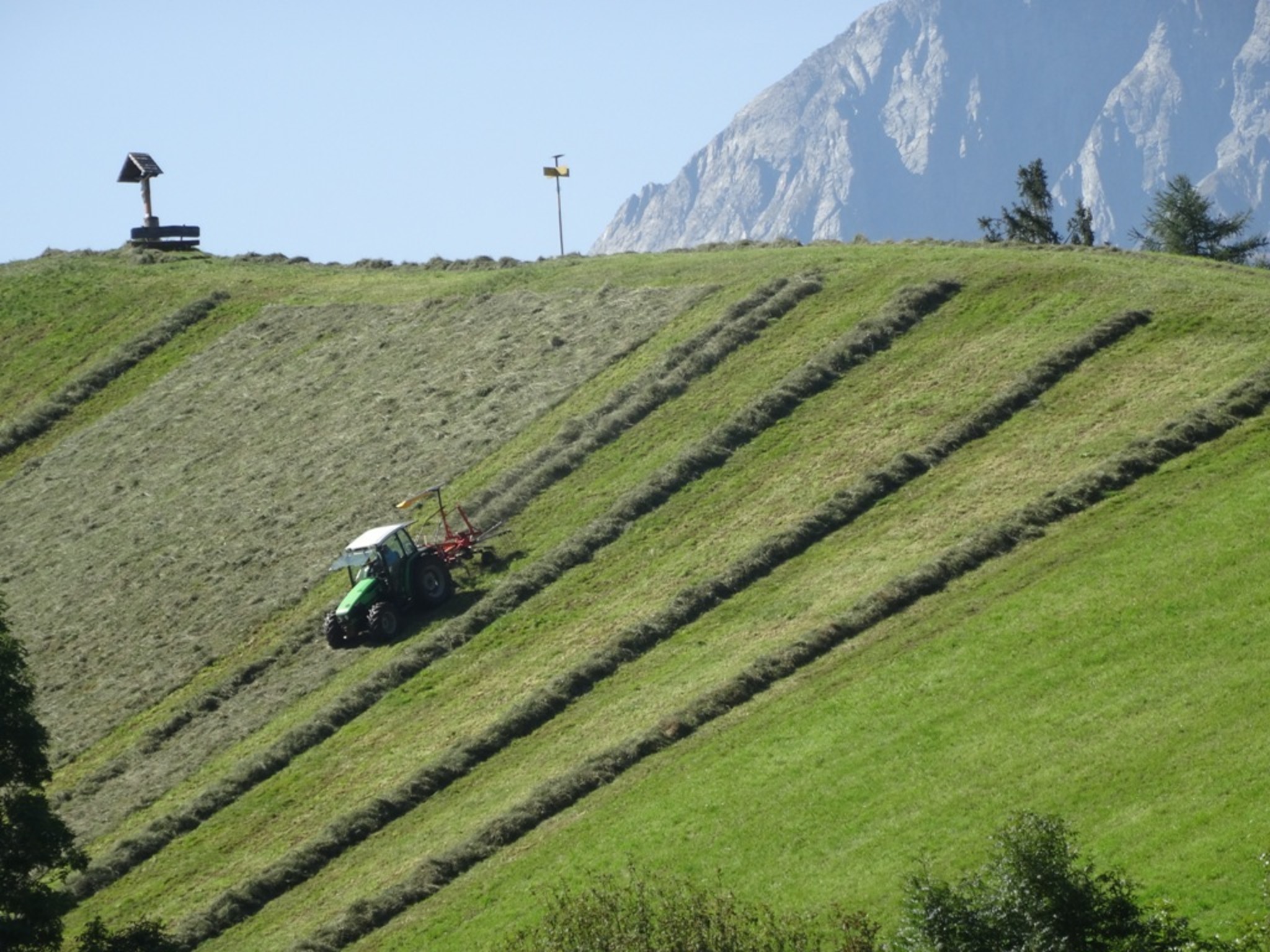 Heuernte am Steilhang Pinzgau