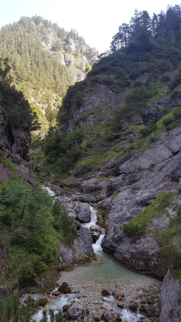 Der Stoissengraben nahe Saalfelden ist ein echtes Naturparadies, das eine Vielzahl herrlicher Fotomotive bietet...