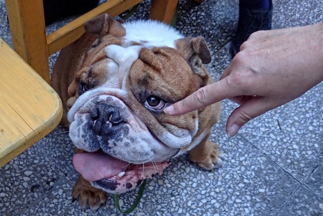 ...ist der Bruno nur, weil er Herzen bricht!