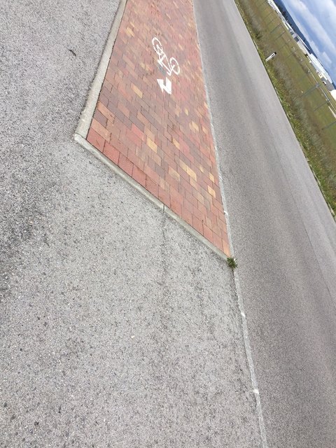 Ärgerlich: Wo geht's weiter? Für den Testpiloten ging's erstmal zu Boden.