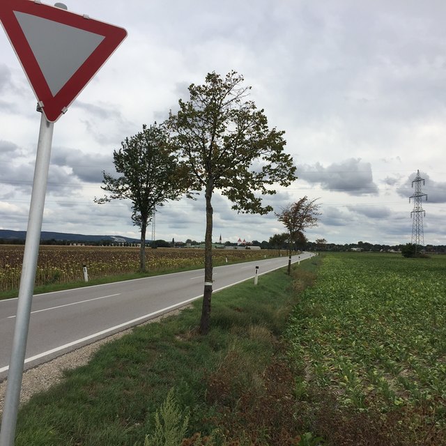 Jetzt wirds interessant. Kommt ein Brummi und saugt dich auf?