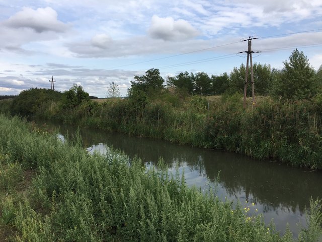 Keine Augenweide - nicht gerade der Burner.