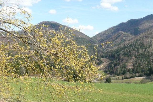 In der hinteren Loich 1