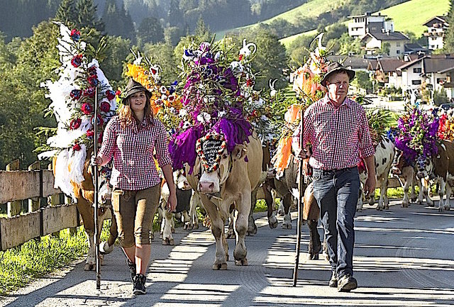 Almabtriebe in Kelchsau und Hopfgarten - Kitzbühel