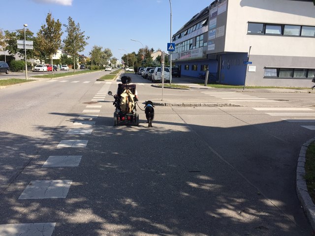 Wieder ein Hindernis, Rollifahrer plus Hund - am Radweg trifft sich so einiges.
