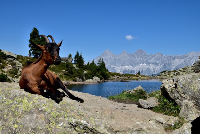 Eingebettet im großen Kar zwischen Schoberspitz und Gasselhöhe liegt der "Spiegelsee"