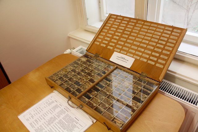 Ein Herbarium, das 1960 zur Lehr-Abschlussprüfung von Christa Buchner zusammengestellt wurde