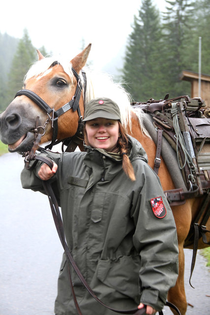 Auch mit den Heeres-Haflingern machten die Probe-Soldatinnen Bekanntschaft. | Foto: Riedlsperger