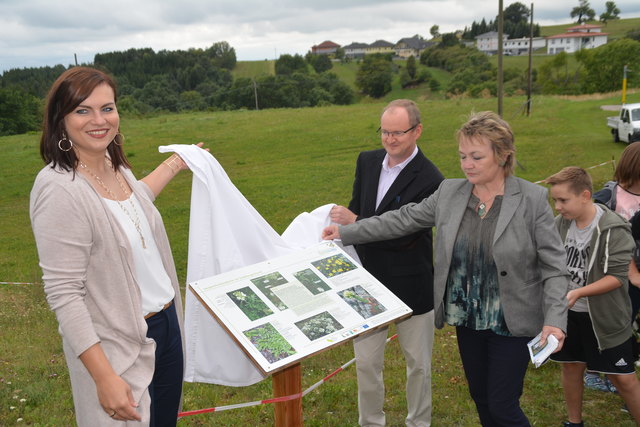 LR Astrid Eisenkopf, Naturschutzbund-GF Klaus Michalek und Bgm. Renate Habetler enthüllten die Informationstafel in Bernstein.