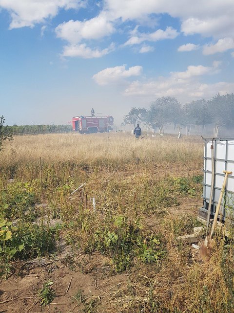 Foto: Norbert Stampfel