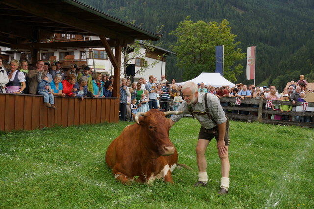 Segen hat gewonnen - hier mit Lippnbauer Fritz Holzer