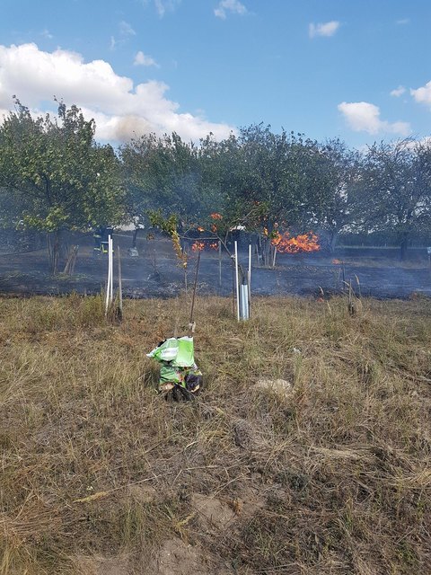 Foto: Norbert Stampfel