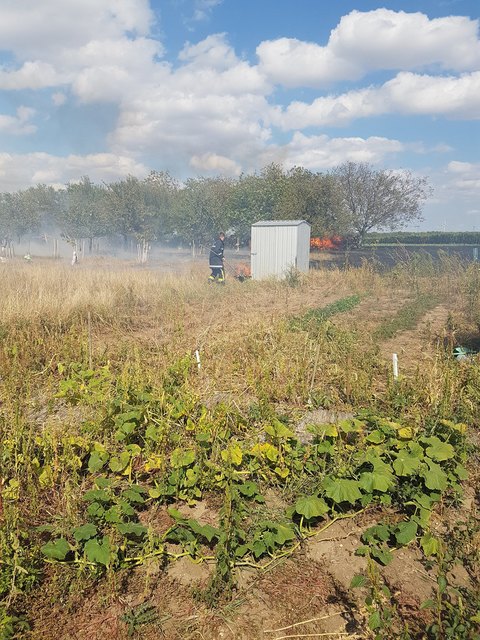 Foto: Norbert Stampfel#