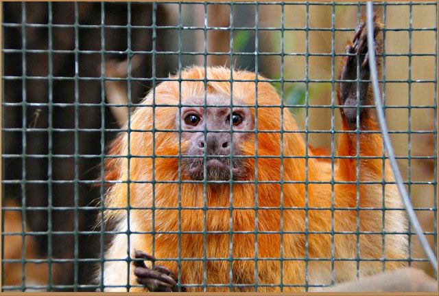 Schon wieder Montag :-(