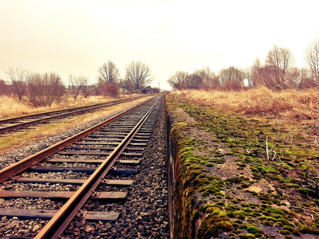 Foto: pixabay.com