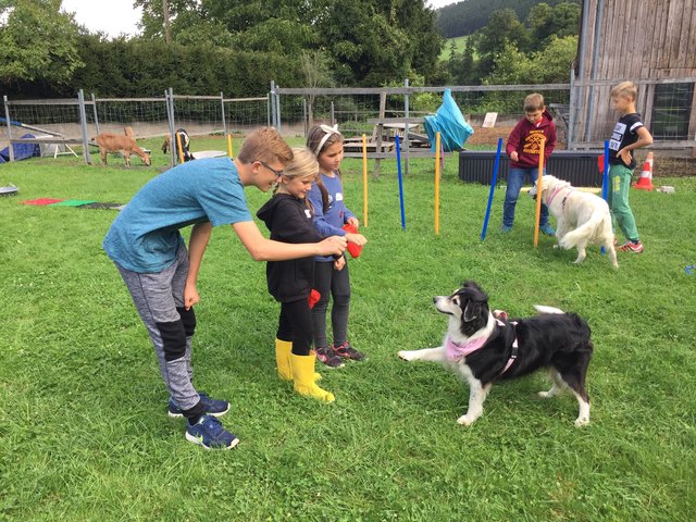 Foto: Kinderakadmie Partnerpfote