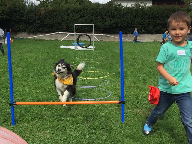 Foto: Kinderakadmie Partnerpfote