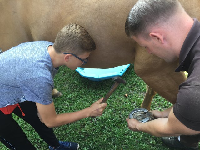 Foto: Kinderakadmie Partnerpfote